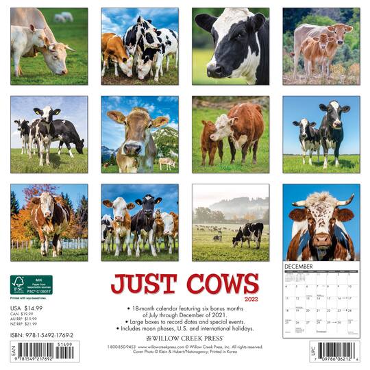Cow Calendar 2022 2022 Just Cows Wall Calendar | Michaels
